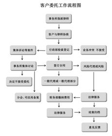 远程委托办理流程